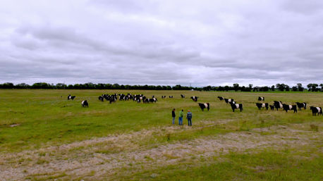 V1-0148_FWM_SOY_BEAN_D3_DJI_BROLL_3